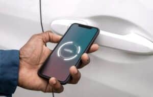 Descubriendo Tesoros