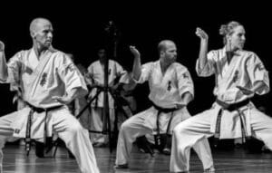 Dominando el Camino del Karate