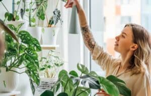 La Salud de las Plantas