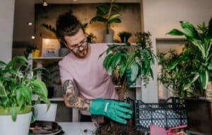 Cuidando tus Plantas