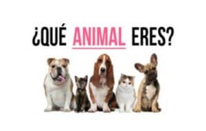 Qué Animal Te Pareces con la App