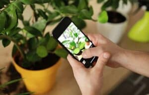 Tus Plantas en Buena Onda