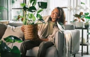 Diagnosticar Enfermedades en tus Plantas