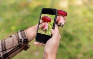 Tu Botánico en el Bolsillo