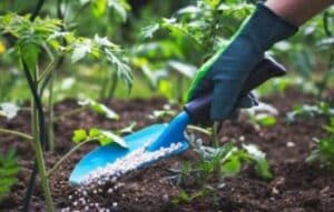 La Jardinería Digital