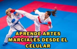 Aprende Artes Marciales desde el Celular