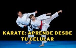 Karate: Aprende Desde Tu Celular