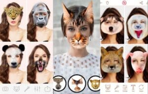 ¿Con qué animal te pareces? Usa estas apps para averiguarlo