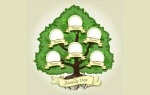 Descubre tu linaje familiar con su Árbol genealógico