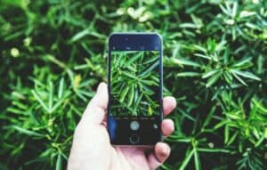 Aplicaciones para cultivar plantas