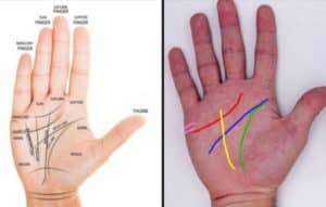 Descubre Tu Futuro con las Mejores Apps de Quiromancia