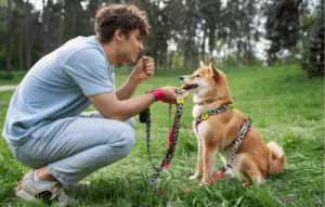 Las Mejores Apps para Adiestrar tu Mascota