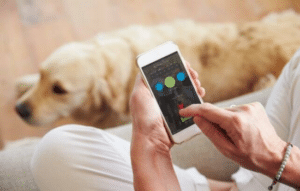 Adiestra a tu Perro con Apps